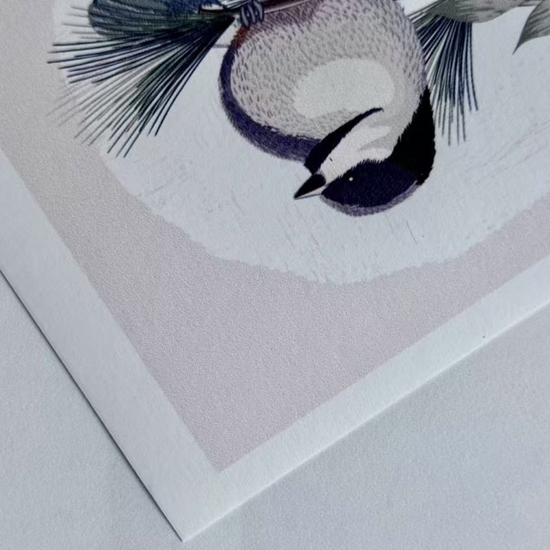 Флизелиновые обои с покрытием для печати M-NP180E0-P