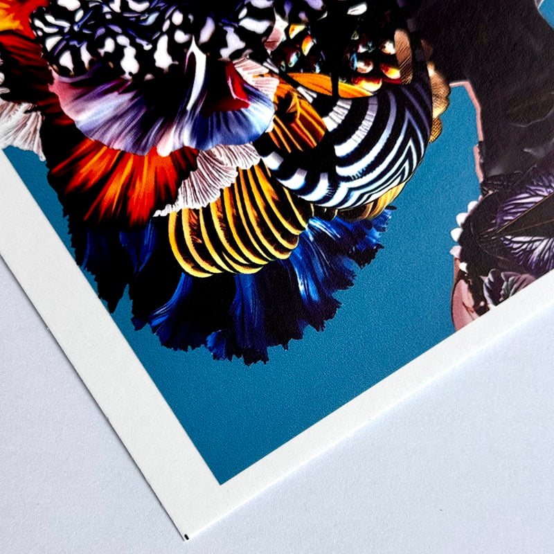 Флизелиновые обои с покрытием для печати M-NP320E0