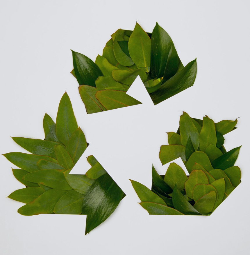 Shanghai Miro Import and Export Co., Ltd.